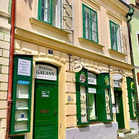 Apartman Galant Český Krumlov المظهر الخارجي الصورة