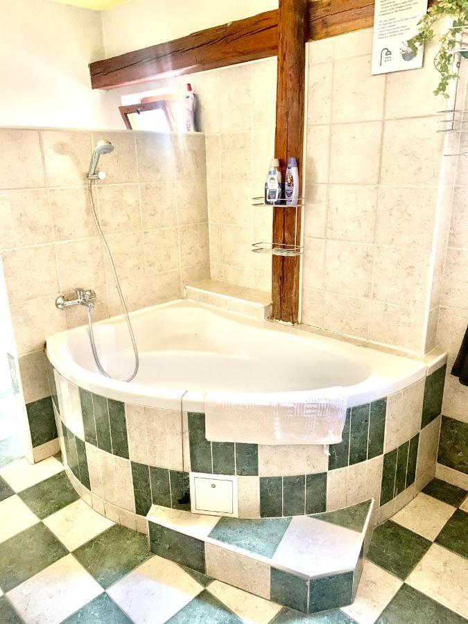 Apartman Galant Český Krumlov المظهر الخارجي الصورة