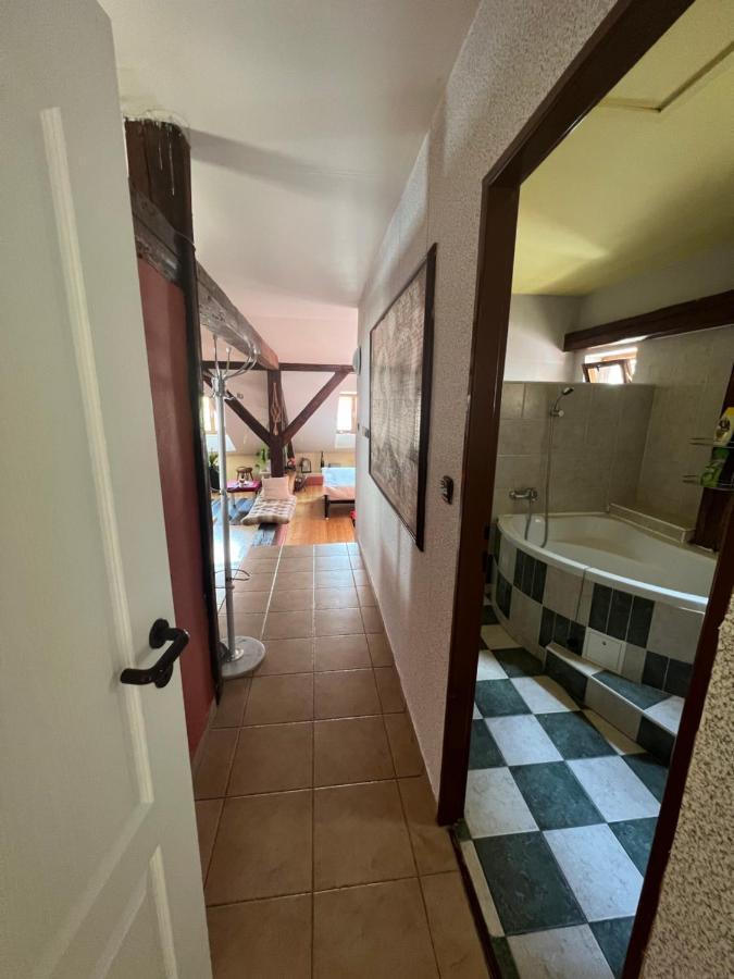 Apartman Galant Český Krumlov المظهر الخارجي الصورة